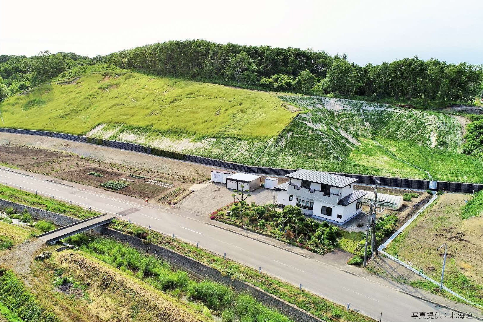 令和2年6月23日撮影