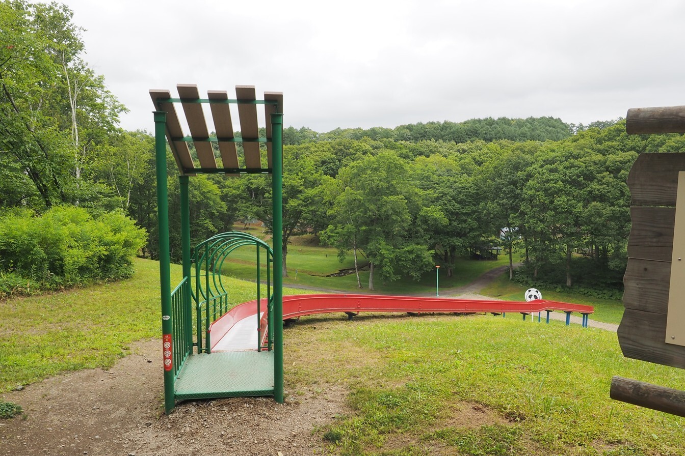 令和7年7月11日撮影