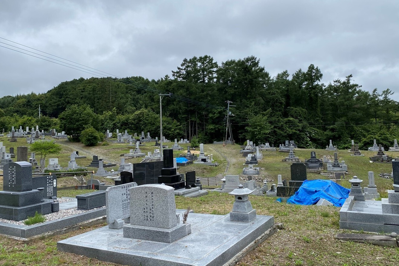 令和7年7月11日撮影