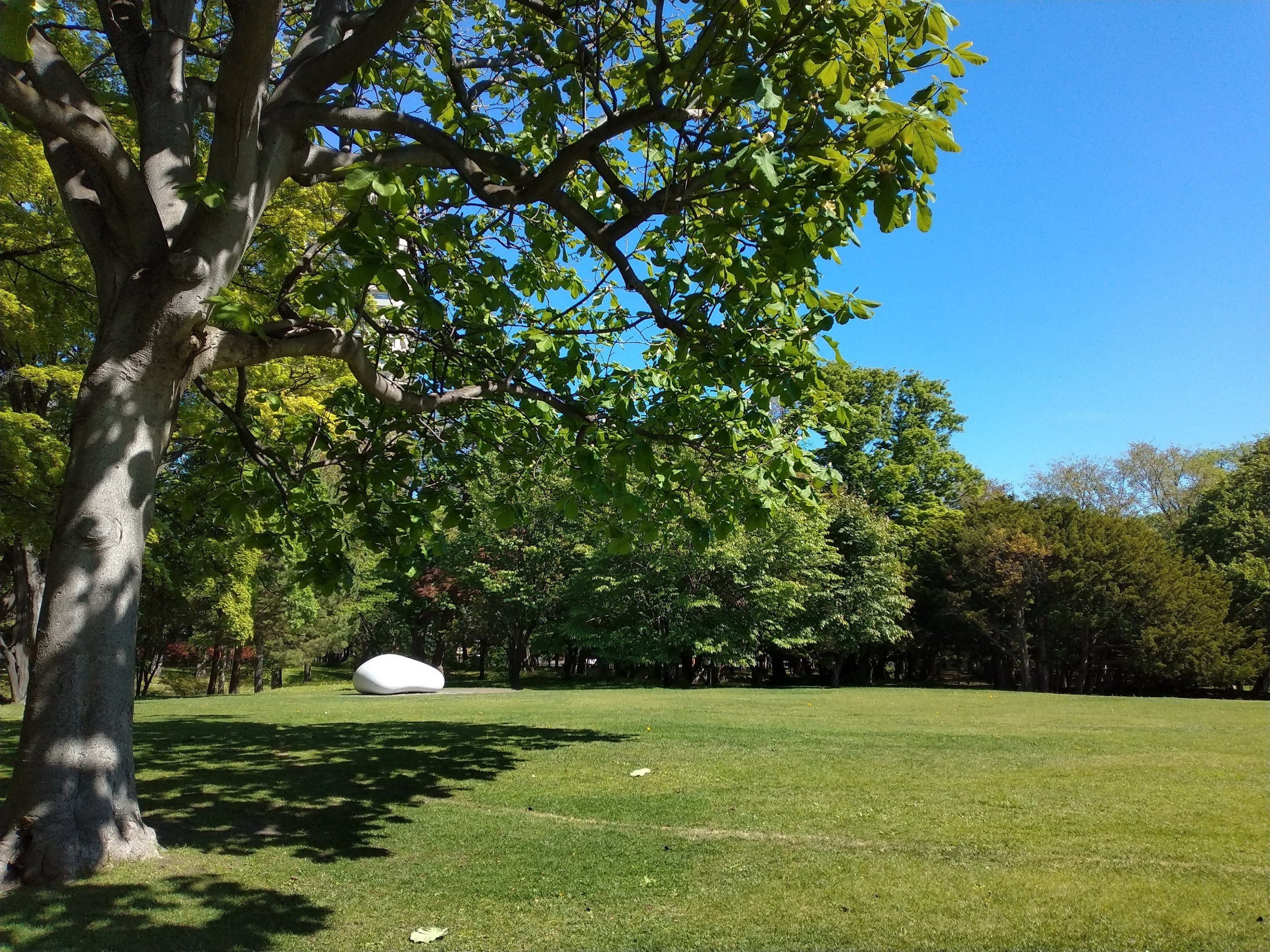 IMG_20240516_084555 (JPG 2.81MB)