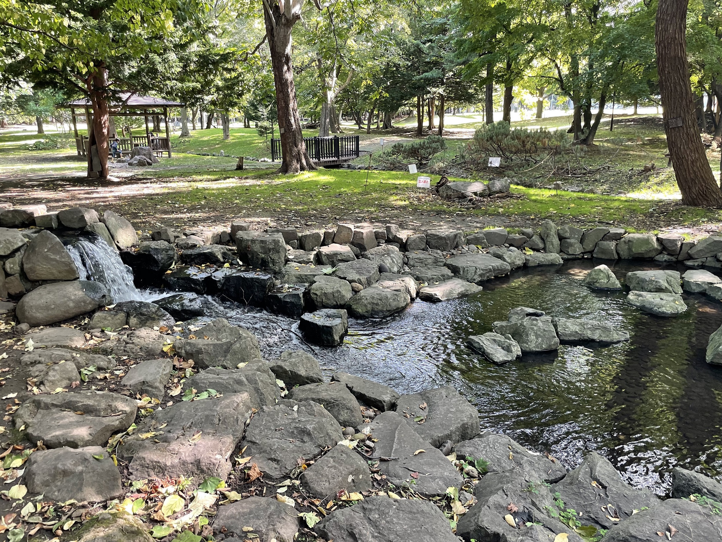 IMG_0403 (JPG 2.65MB)