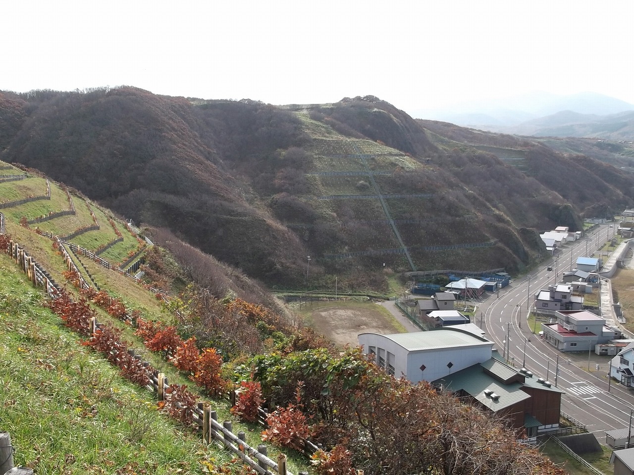 せたな町（太櫓地区）