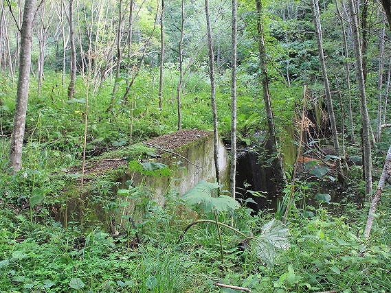 初山別村（登駒内川）