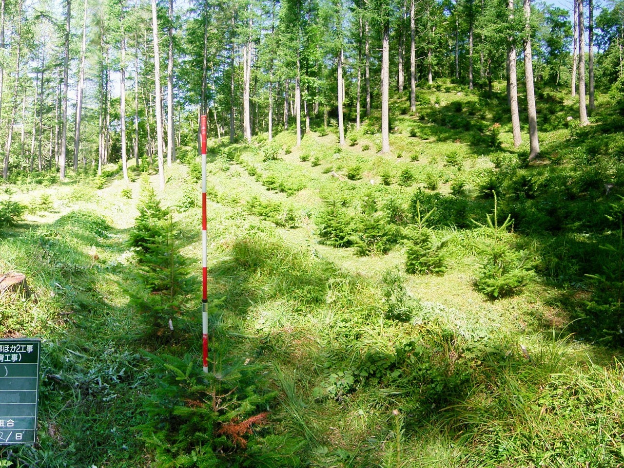 釧路市（カラマンベツ）