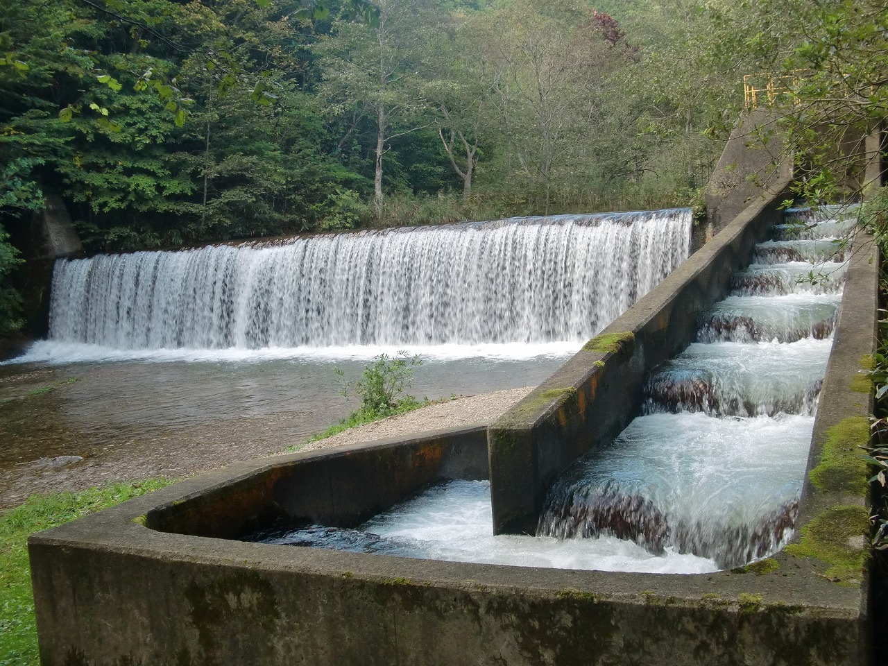 函館市（原木川）