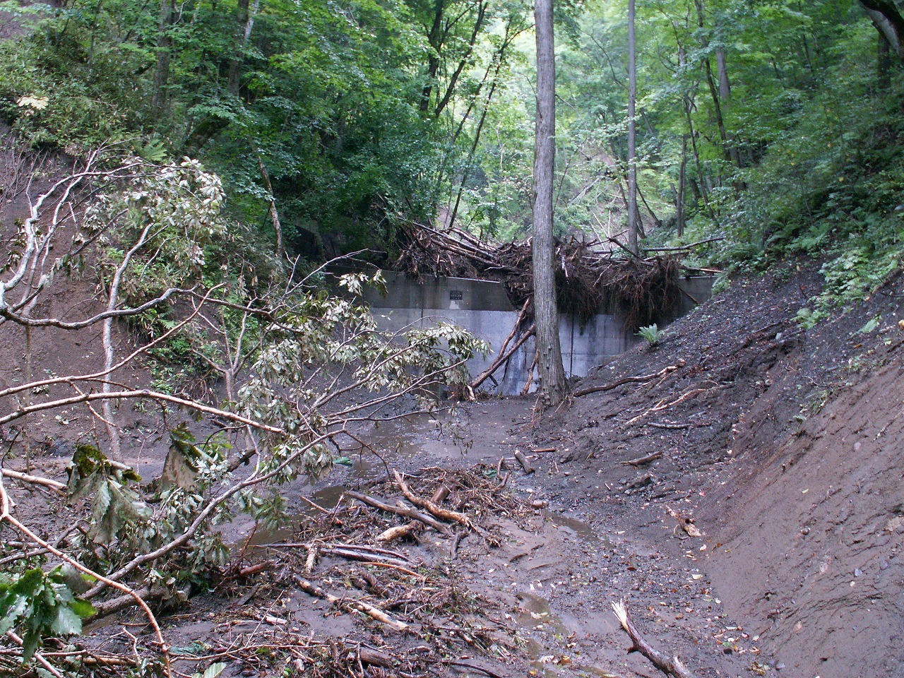 平取町（義経公園地先）