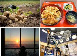 大樹コースイメージ