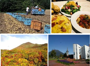 ニセココースイメージ