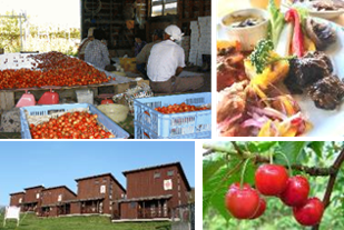 仁木コースイメージ