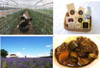 富良野コースイメージ2