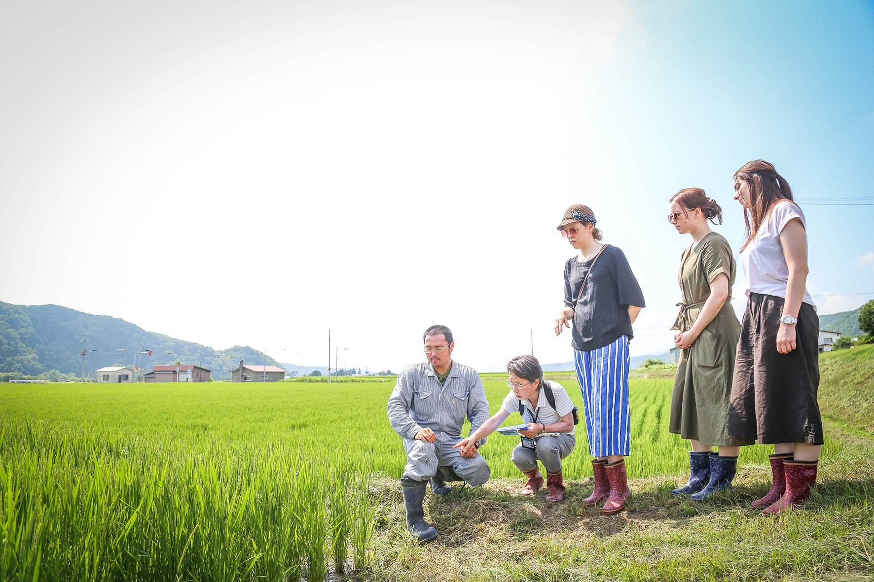 0083_original_mini (JPG 444KB)