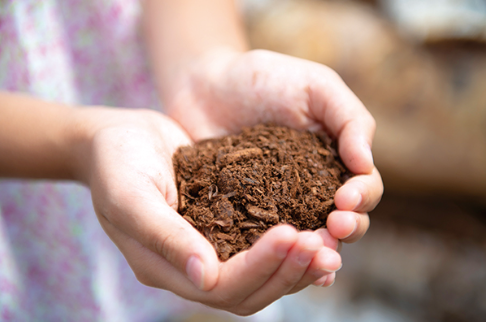 エース・クリーン