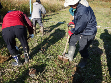 植樹体験2.png