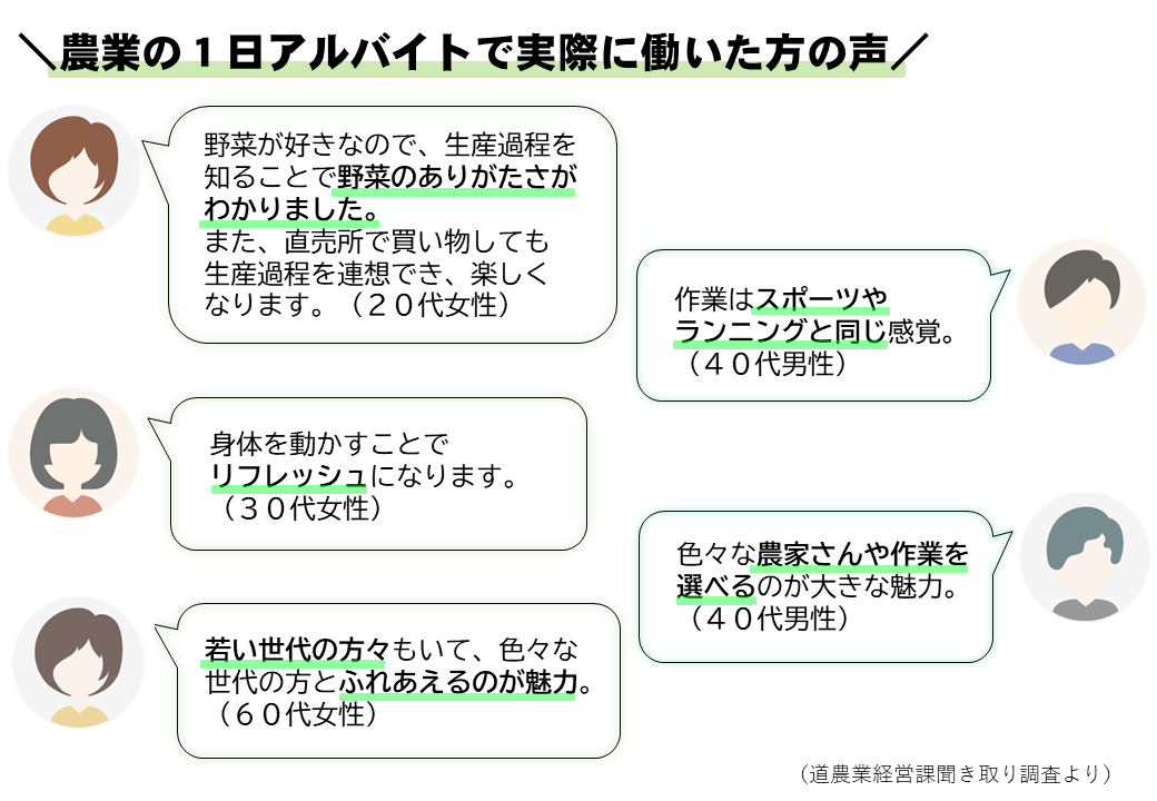 農業の１日アルバイト働き手の声