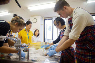 噴火湾鮮魚卸龍神丸-2