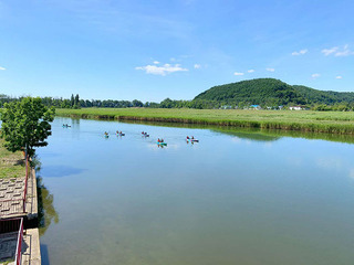 呼人半島探鳥カヤックツアー