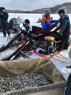 わかさぎ氷下漁見学ツアー1