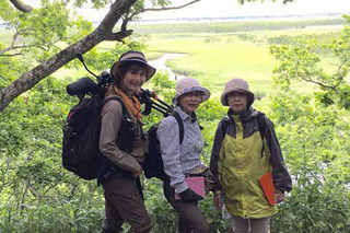 マナミ キャビン