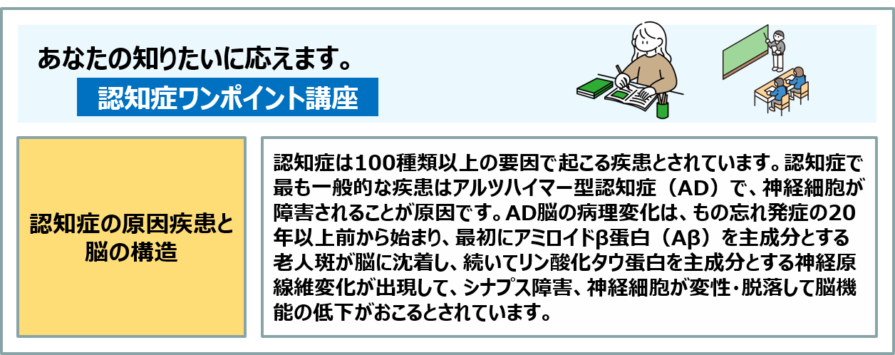 コラム：認知症は100種類以上の要因で起こる疾患とされています。最も一般的な疾患がアルツハイマー型認知症（AD)で、神経細胞が障害されることが原因です。AD脳の病理変化は、もの忘れ発症の20年以上前から始まっているとされています。