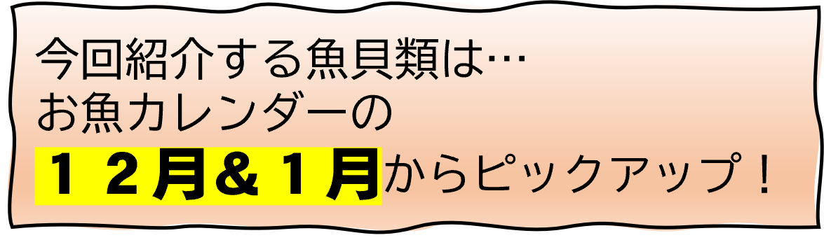 今回紹介する魚貝類はお魚カレンダーの12月&1月からピックアップ