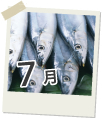7月