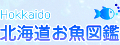北海道お魚図鑑バナー