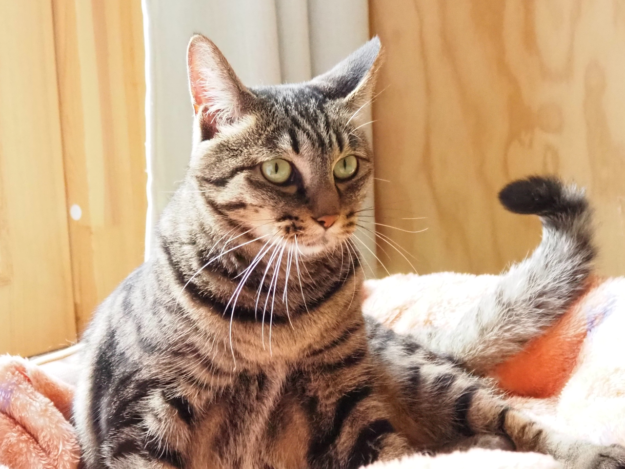 251027ほぅ (15).png