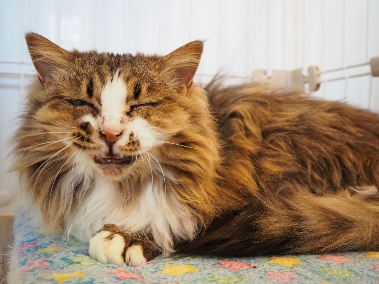 251127りり (2).jpg