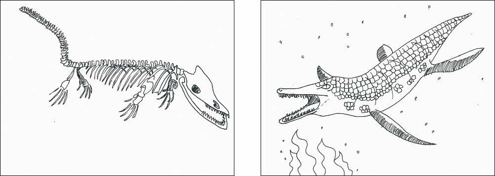 なべさんのモササウルス・ホベツエンシス