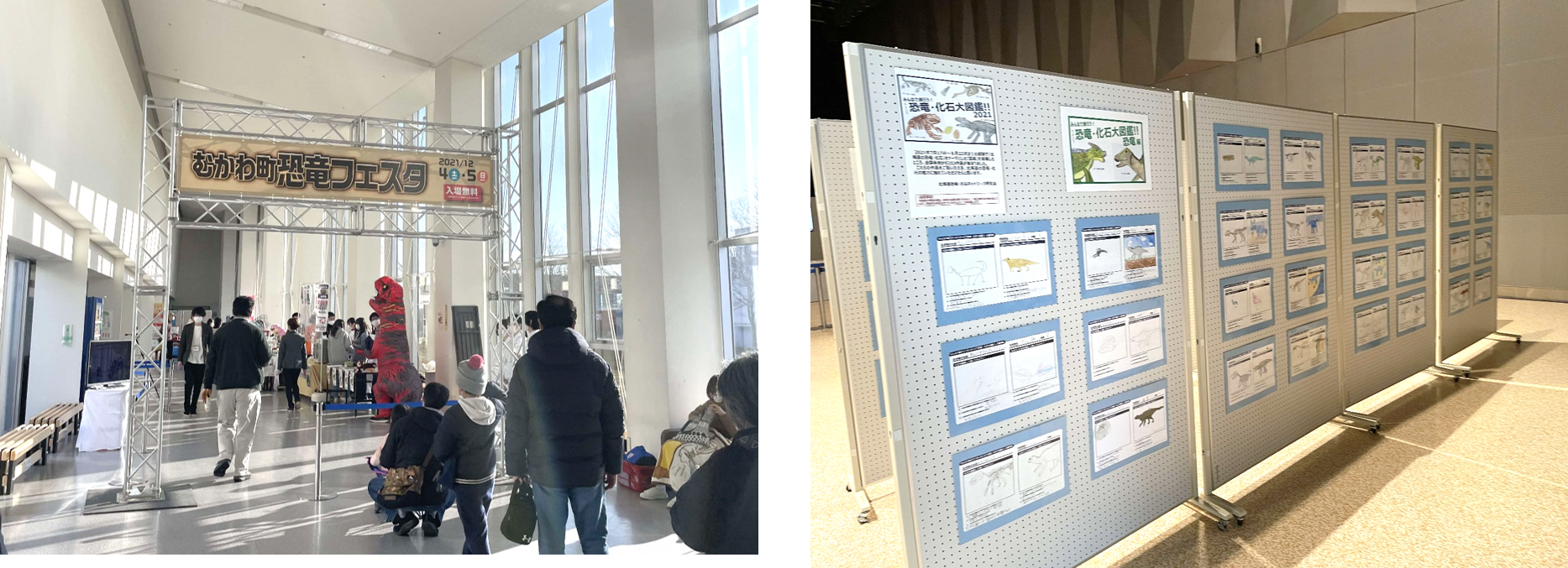 展示の様子(むかわ町恐竜フェスタ)