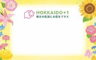 HOKKAIDO＋1　ポップカード