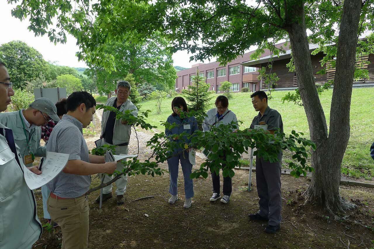 林業普及指導員指導能力向上研修の写真