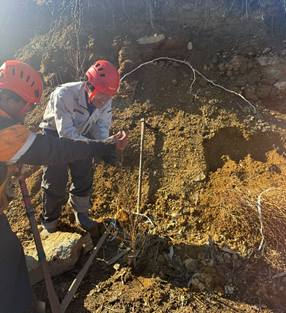 詳しくはこちら