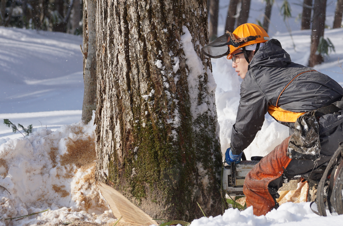 詳しくはこちら
