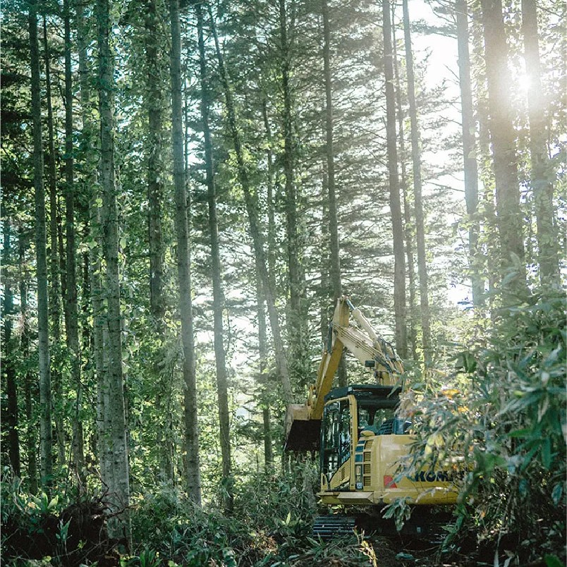 詳しくはこちら